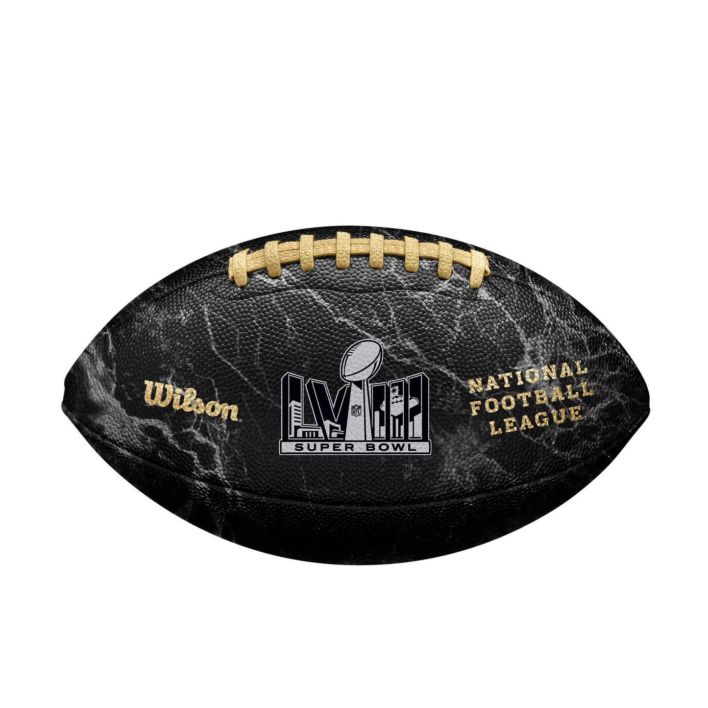Super Bowl LVIII
METALLIC & SILVER SB LVIII LOGO's