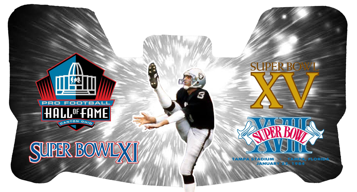 Ray Guy Raiders Themed Custom Visor