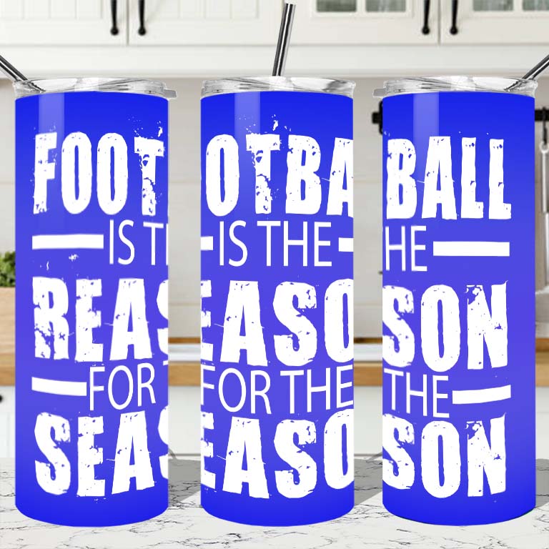 Football is the reason for the season Tumbler