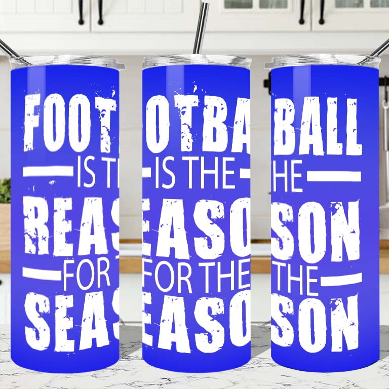 Football is the reason for the season Tumbler