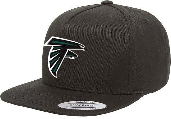 Falcons Snap Back