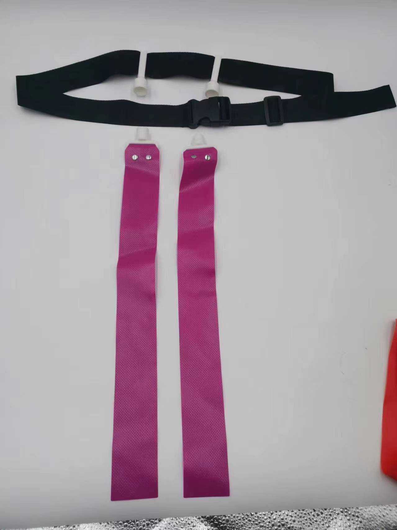Logo / Team Printed Flag Belt with Two Flag Set