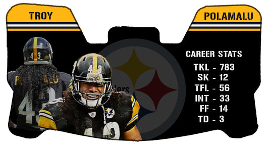 Troy Polamalu Themed Custom Visor