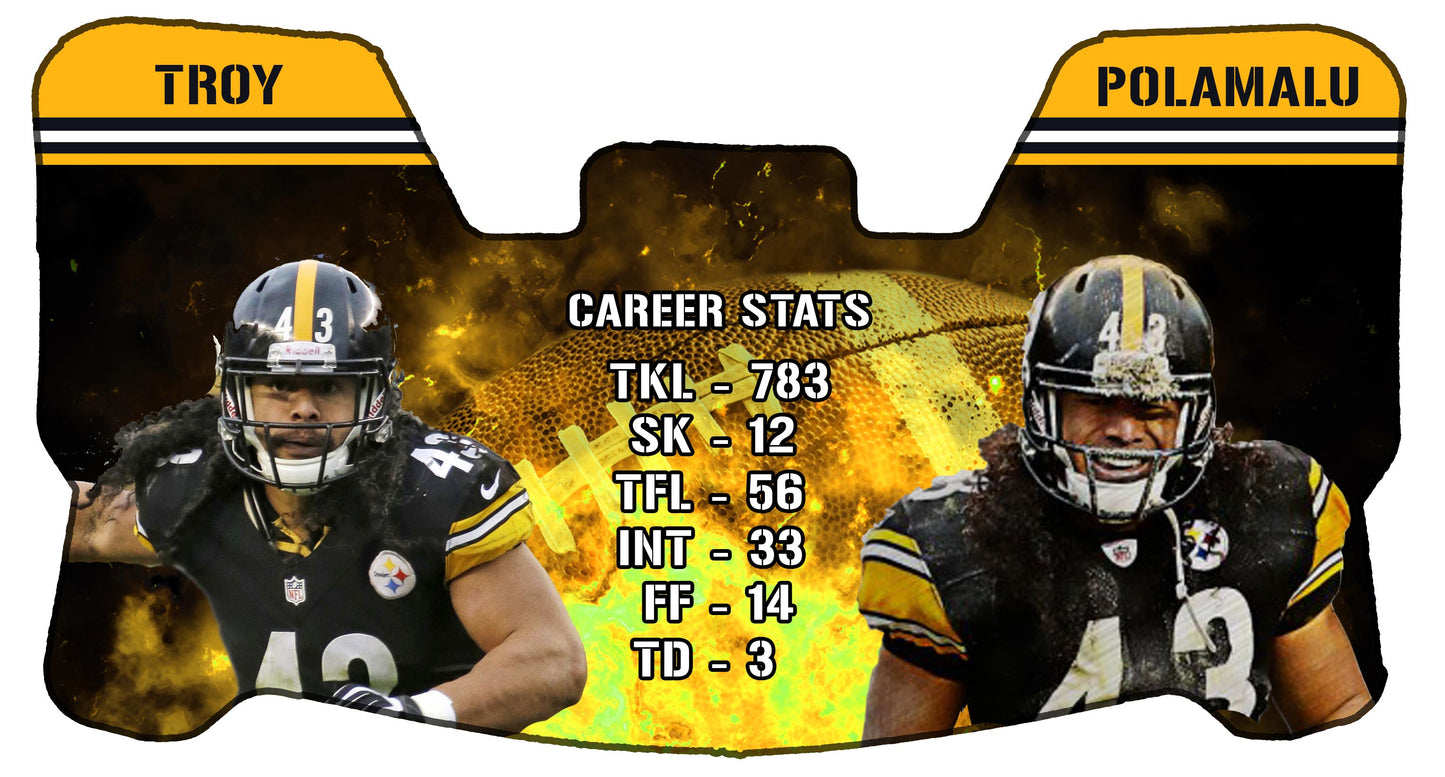 Troy Polamalu Themed Custom Visor