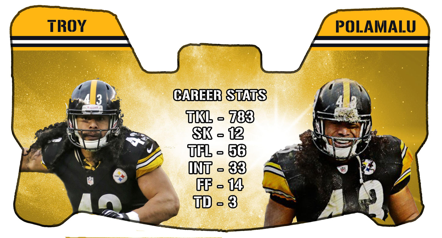 Troy Polamalu Themed Custom Visor