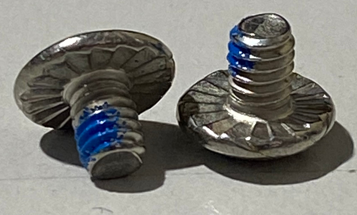 Xenith Short Screw - Stainless